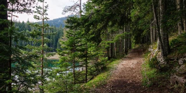 Экскурсия: Дикая красота Черногории