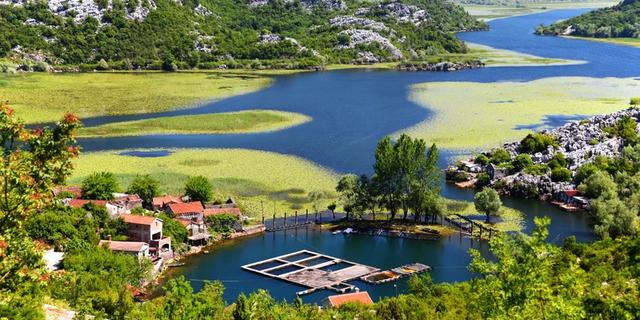 Экскурсия: По Скадарскому озеру с черногорцем