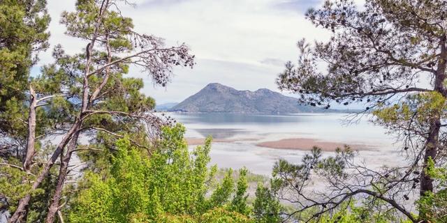 Экскурсия: Нетуристическое Скадарское озеро и Боко-Которская бухта с высоты