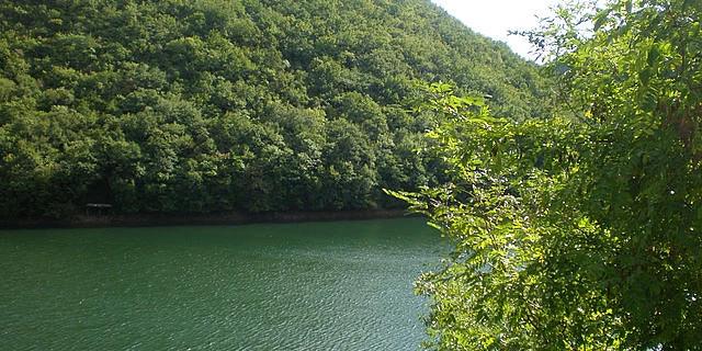 Экскурсия: Путешествие в национальный парк Маврово