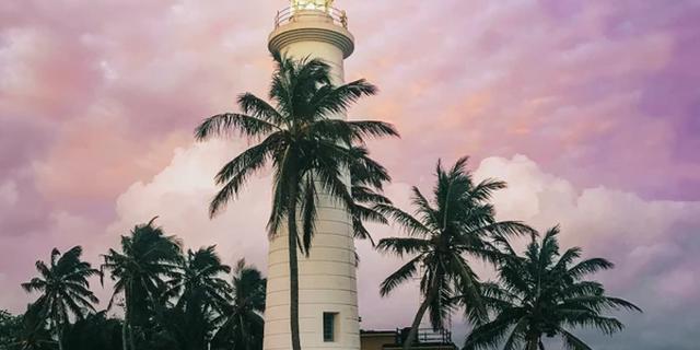 Экскурсия: Из Галле — к чудесам южной Шри-Ланки