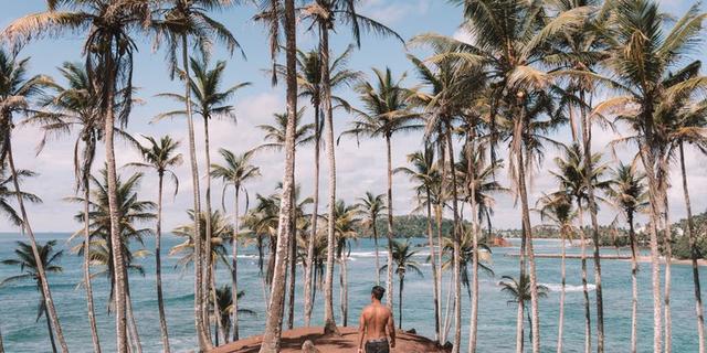 Экскурсия: Из Галле — по лучшим пляжам Шри-Ланки