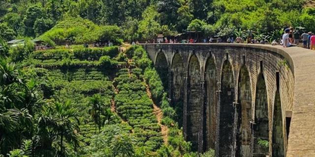 Экскурсия: Город Элла и сафари на джипах в парке Яла — из Галле