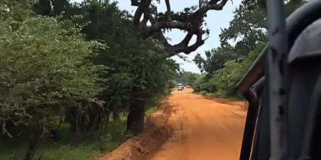 Экскурсия: Сафари на джипах в парке Удавалаве