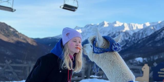Экскурсия: Красная Поляна, «Роза Хутор» и Парк альпак