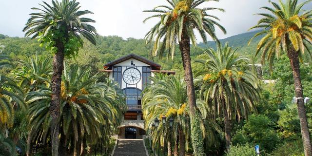 Экскурсия: Чары Абхазии (из Сочи)