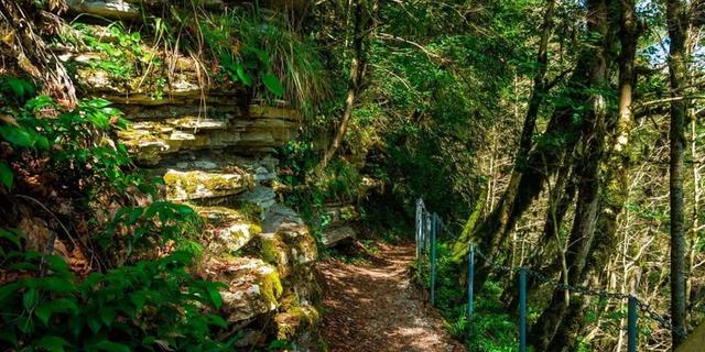 Экскурсия: Круглогодичный оазис Сочи: Тисо-самшитовая роща и Чёртовы ворота