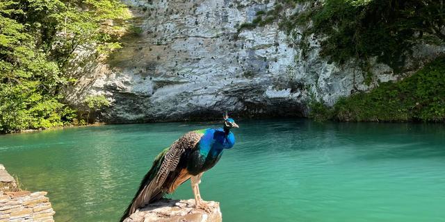 Экскурсия: Главные жемчужины Страны Души за 1 день — из Сочи