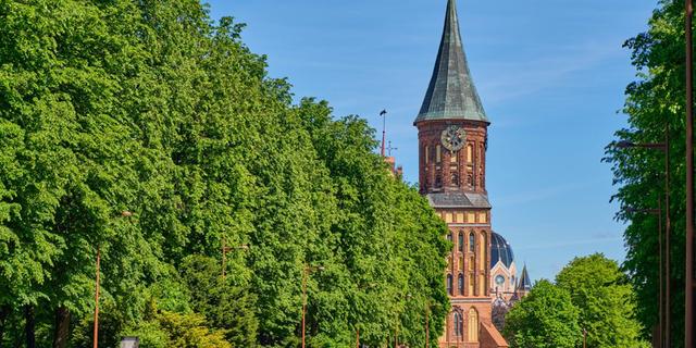 Экскурсия: Аудиогид Трипстера: обзорная прогулка по Калининграду