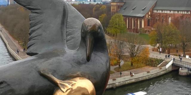 Экскурсия: В погоню за восточно-прусскими котами: семейный квест по Калининграду