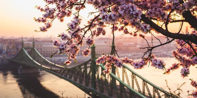 Экскурсия: Колесо обозрения — Будапешт за 2 часа