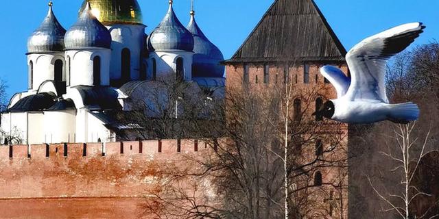 Экскурсия: Два центра Великого Новгорода: кремль и Ярославово дворище