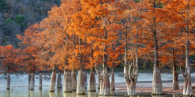 Экскурсия: Кипарисовое озеро и развлечения на любой вкус