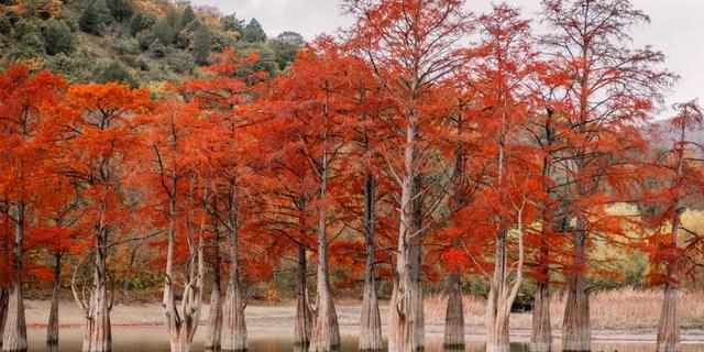 Экскурсия: Анапа: топ-места за 5 часов