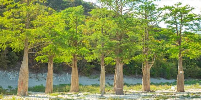 Экскурсия: Кипарисовое озеро долины Сукко