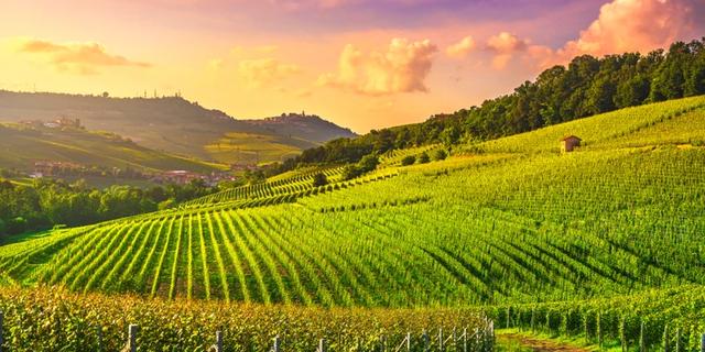 Экскурсия: На воздушном шаре — над виноградниками Ланге!