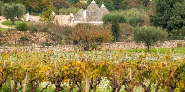 Экскурсия: Однодневное гастрономическое путешествие по Южной Италии