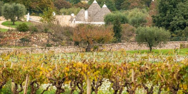 Экскурсия: Однодневное гастрономическое путешествие по Южной Италии