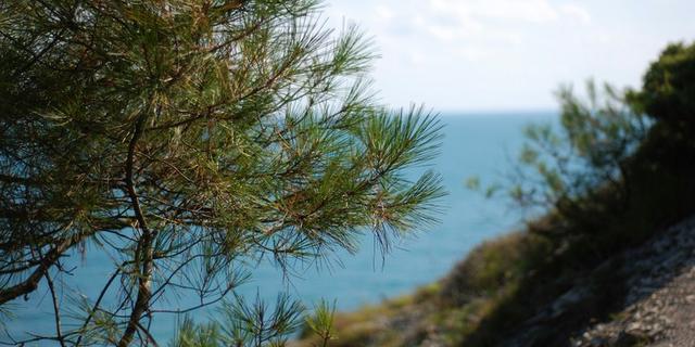 Экскурсия: Активный хайкинг по лучшим местам Большого Геленджика