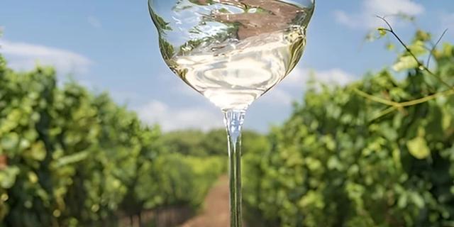 Экскурсия: «Мысхако» + «Шато Пино»