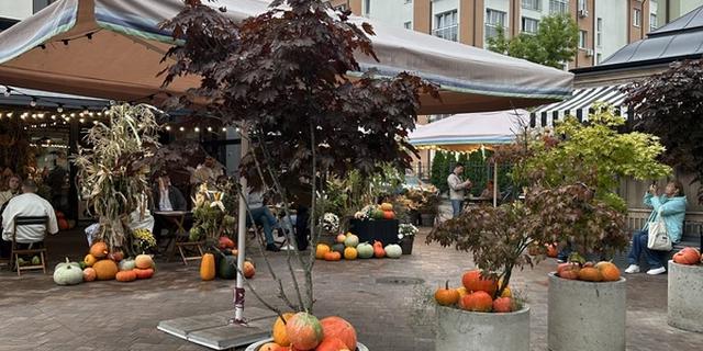 Экскурсия: Куршская коса и Зеленоградск: в погоне за пейзажами!