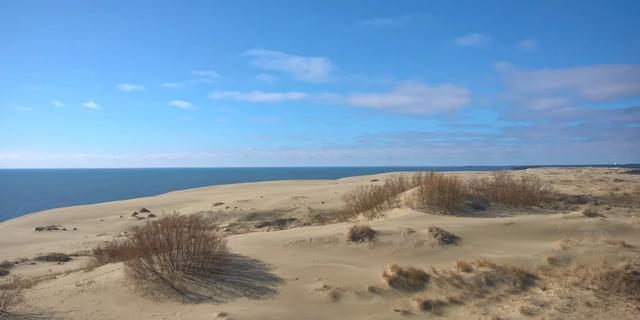 Экскурсия: Куршская коса: природа и история