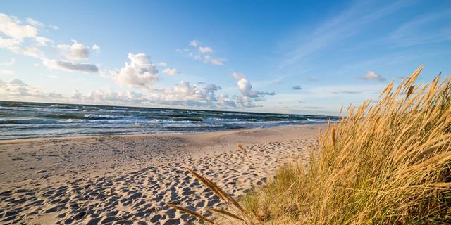 Экскурсия: Куршская коса: лес, залив и дюны