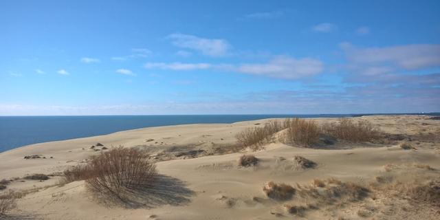 Экскурсия: Куршская коса: природа и история