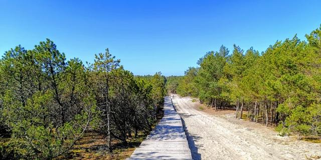 Экскурсия: Хочу всё знать! Детское путешествие по Куршской косе