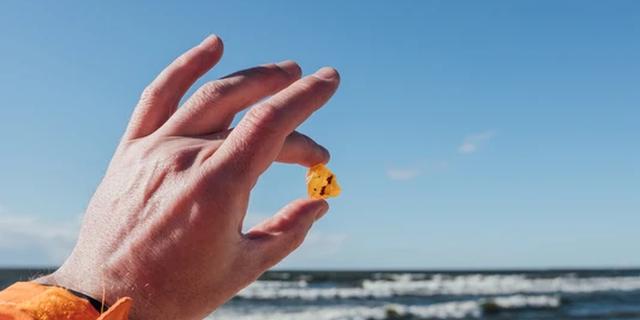 Экскурсия: Сердце янтарного края: Балтийск, Янтарный, Светлогорск (из Зеленоградска)