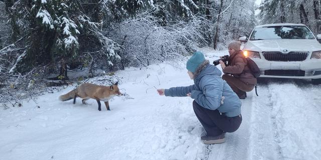 Экскурсия: Пески времени: путешествие по Куршской косе