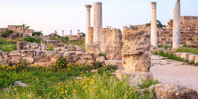 Экскурсия: Саламин — Фамагуста. Античный, средневековый и современный Кипр (из Айя-Напы)