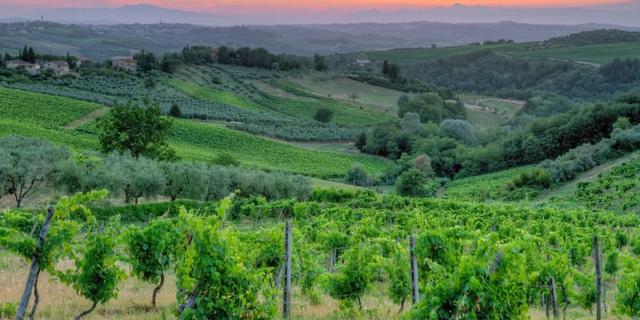 Экскурсия: Из Флоренции в Тоскану — кьянти-приключение