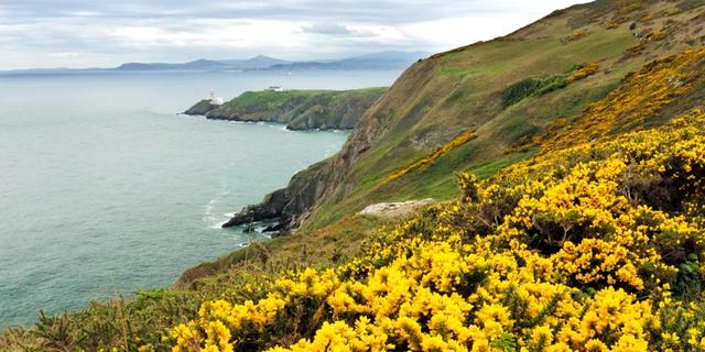 Экскурсия: Путешествие по восточному побережью Ирландии