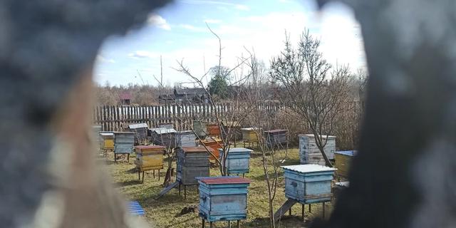 Экскурсия: В гости к пасечнику (на вашем автомобиле)