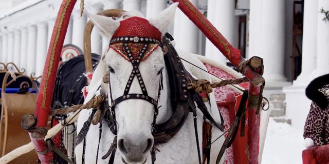 Экскурсия: По Суздалю на санях да на карете!