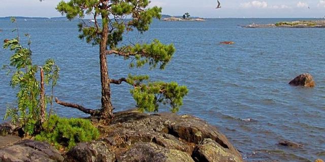 Экскурсия: По шхерам Выборгского залива — на катере!
