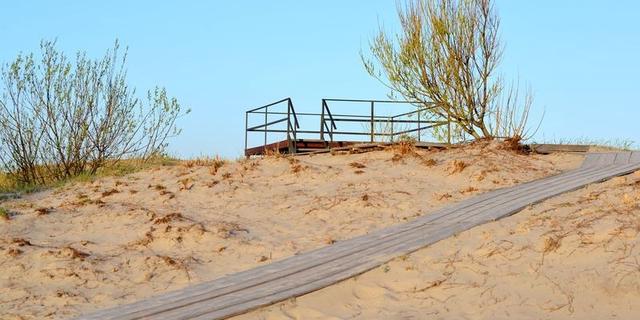 Экскурсия: Путешествие на Куршскую косу через Зеленоградск