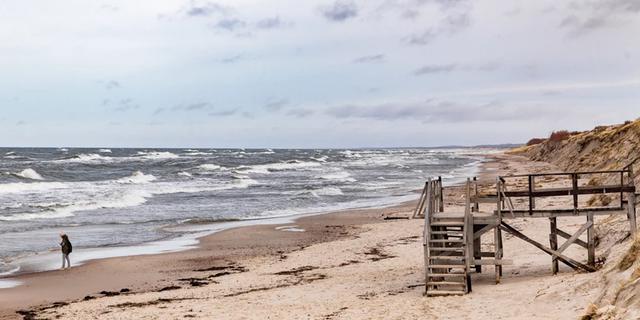 Экскурсия: Дорога в дюны: групповая экскурсия из Светлогорска на Куршскую косу