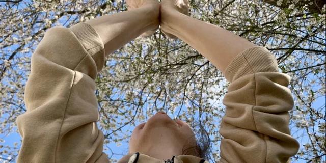 Экскурсия: Секреты императоров и лёгкие практики даосских мудрецов