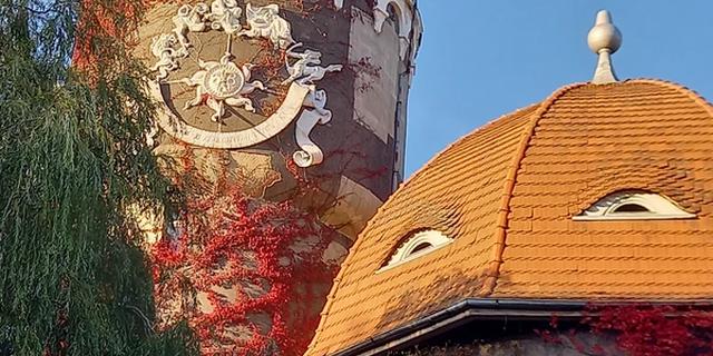 Экскурсия: Светлогорск — маленькая Швейцария