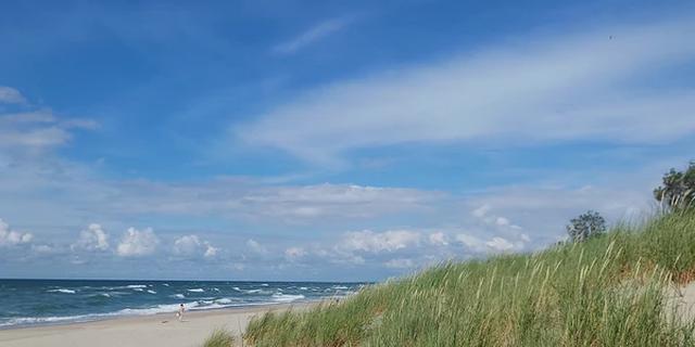 Экскурсия: Путешествие по Куршской косе из Светлогорска