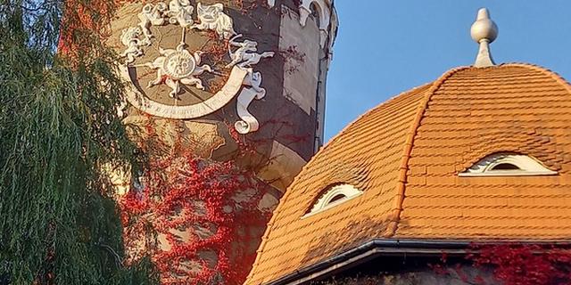 Экскурсия: Светлогорск — маленькая Швейцария