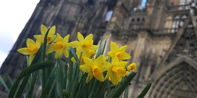 Экскурсия: Кёльн и его женщины