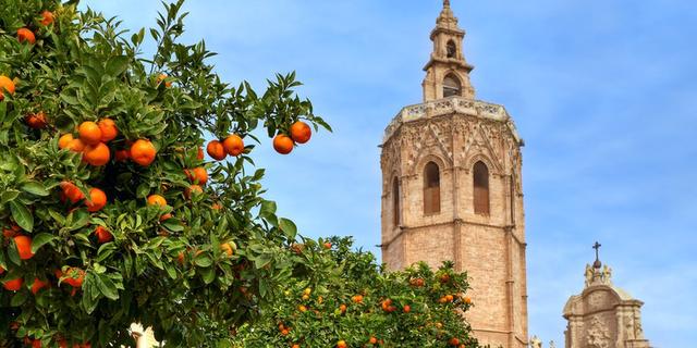 Экскурсия: Свидание с Валенсией каждый день