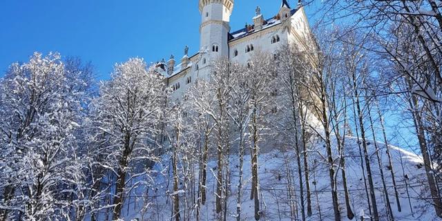 Экскурсия: Замки баварских королей и диковинки Альп на вашем авто или на поезде